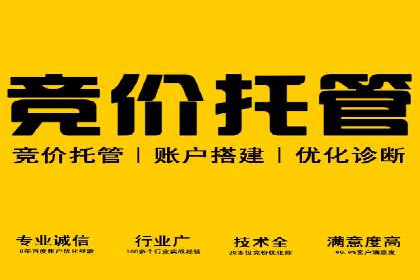 SEM竞价托管案例，助力企业业绩腾飞
